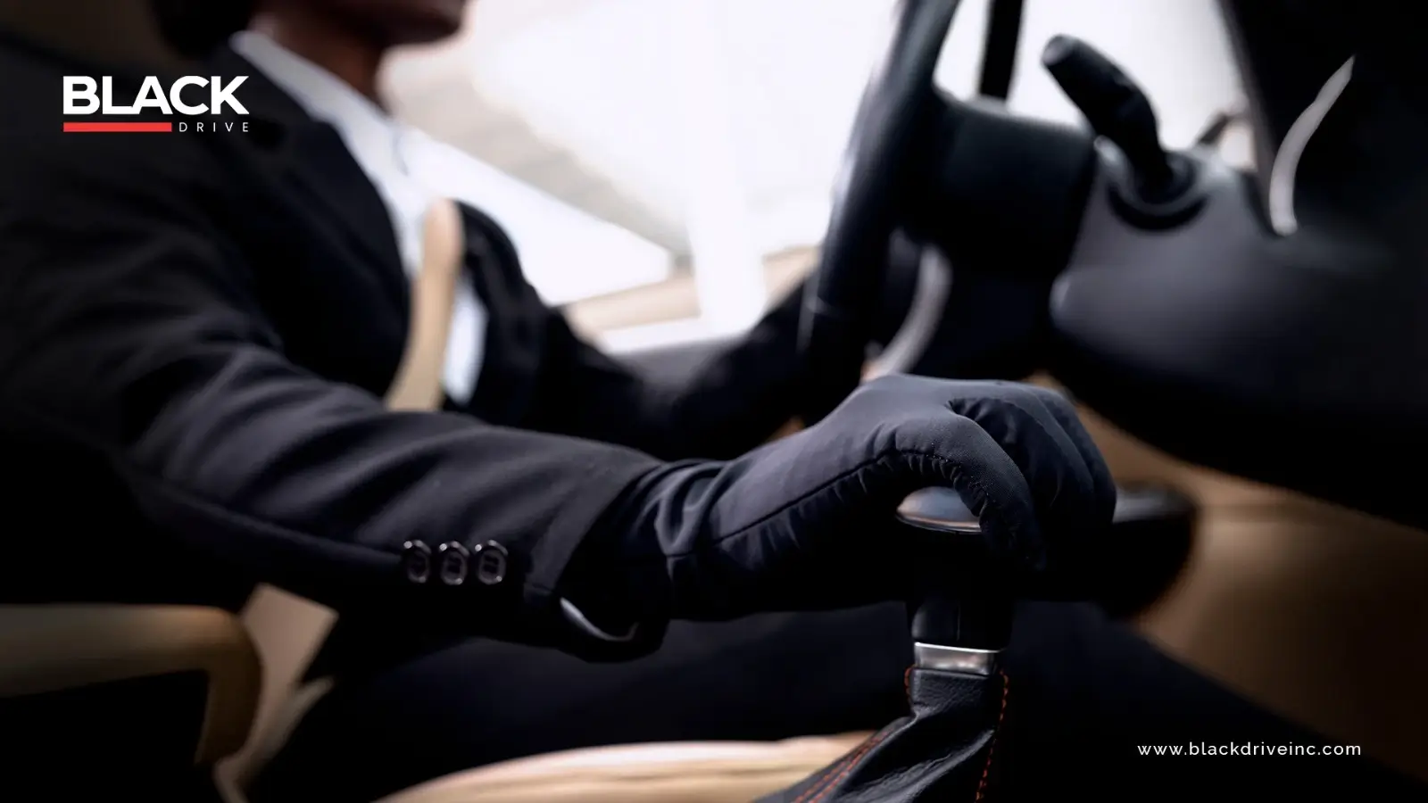 Professional Chauffeur